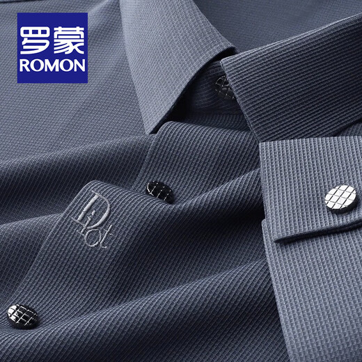 罗蒙（ROMON）高档轻奢四面弹长袖衬衫男士抗皱春秋商务无痕休闲衬衣免烫易搭理 长柚-6018蓝色 2XL 码