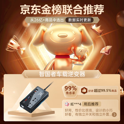 Wise Nation car inverter 12v24v to 220v high power multi-functional power supply cigarette lighter converter car truck plug