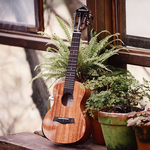 
Gerila ukulele female adult beginner girl model 2002R Queying full board small guitar student introduction [2002] 23-inch full single retro color
