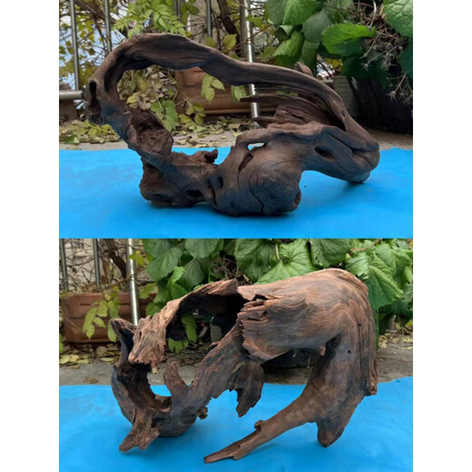 
JPHZNB purple teak wood fine 45-60cm natural fish tank landscaping sinking wood large tree stump sunburn turtle platform aquarium decorative wood royal blue 16856
