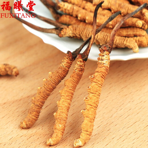 Zangxitang Naqu Cordyceps sinensis, tibetanische Naqu Cordyceps sinensis, Geschenkbox, Cordyceps sinensis 3 1 Gramm 10 Gramm