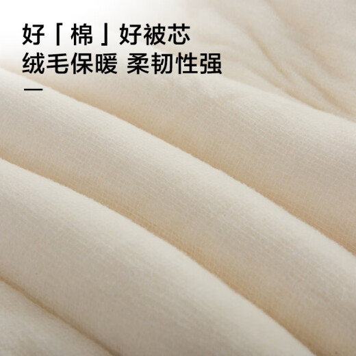 Jiabai quilt 100% Xinjiang cotton quilt 5Jin [Jin equals 0.5kg] pure cotton spring and autumn quilt single quilt student dormitory quilt core cotton pad quilt bed mattress 1.5 meters
