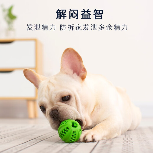 EETOYS small food leaking ball dog toy leaking food ball teeth grinding resistant rubber teeth cleaning pet supplies for small dogs to be alone to relieve boredom