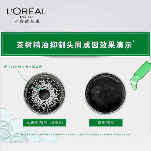 L'Oreal Shampoo Teebaumpflanze Extrakt Antidandruppen Shampoo Hyaluronsäure Silikon-freie Anti-Dandruff-Anti-Tit-Aktualisierung von Ölkontrolle Shampoo Teabaumpflanze Extrakt Anti-TandRuff-Reinigung Öl Shampoo 500 ml