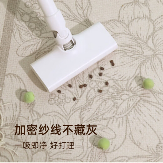 阿扎尔 HAZARD客厅地毯【法尔曼四防】法式卧室毯家用免洗可擦毯加厚 芙云-15242 200*340cm