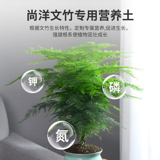 Shangyang Asparagus plant nutrient soil 8L gardening green vegetable growing organic peat soil granular soil potted planting matrix soil