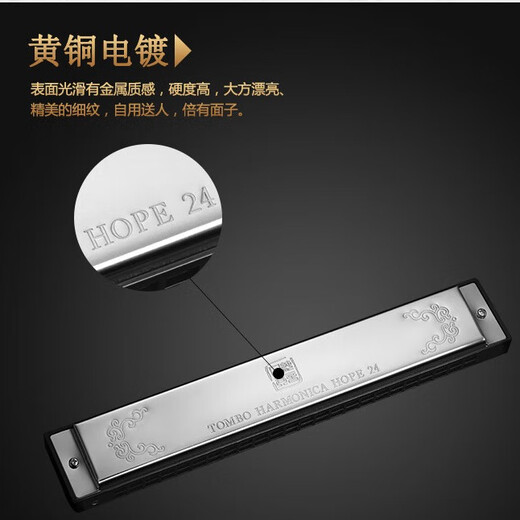 Tombo Tongbao 6624p Pure Tone Полифоническая гармоника 24-луночная профессиональная производительность начинающего детского самообучения подарка с 24 лунка