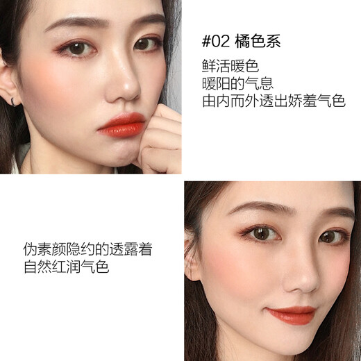 ZEESEA Colorful Blush Palette Sun-red Pork Belly Highlight Rouge Cream Air Cushion Liquid Eyeshadow Contouring Brush Birthday Gift