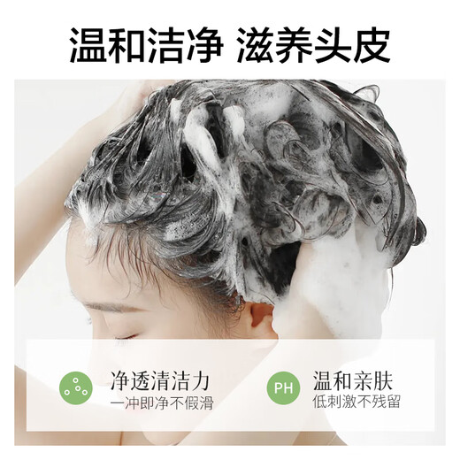 柏缇北非雪松控油蓬松洗发水 清爽去屑止痒留香氨基酸洗发露 505ml 