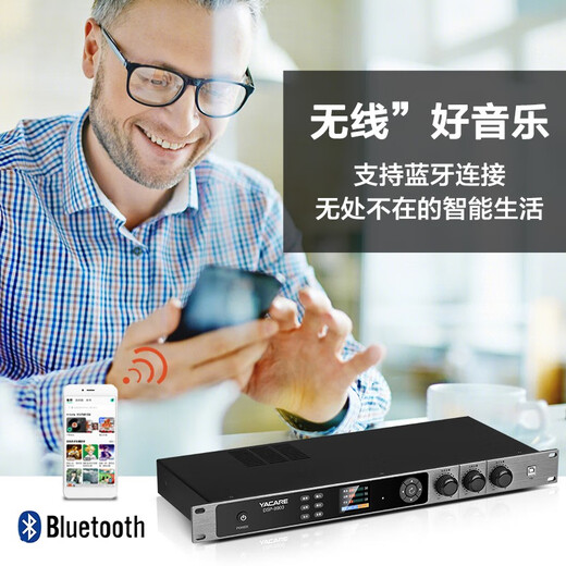 
YACARE DSP-9900 anti-whistle front-level effector professional ktv reverb home karaoke audio processor with Bluetooth DSP9900
