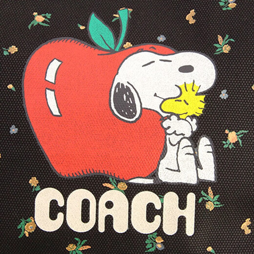 Coach Women's Bags Shoulder Bags Women's Printed Hand-Laundry Single Shoulder Tote Bags Simple Printed Shopping Bags Chinese Valentine's Day Gifts 6172_IMA47