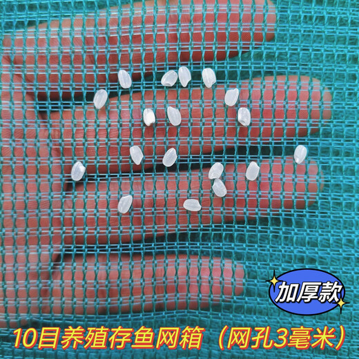 Fish farming cage, fish storage cage, bullfrog, eel fry cage, thickened cage, custom-made fishing net, aquaculture cage, 10 mesh (3 mm mesh) without cover, 1 meter long-1 meter wide-1 meter high