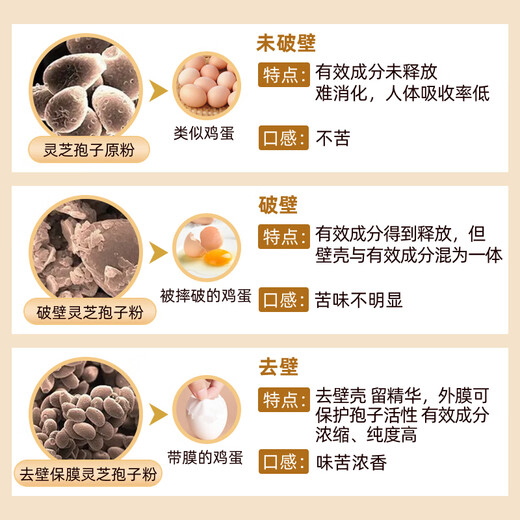 绿谷三萜14%灵芝宝抗辐v射破壁灵芝孢子粉营养保健滋补品增强术后免疫 【健康常在装】12盒卖品（共120包）