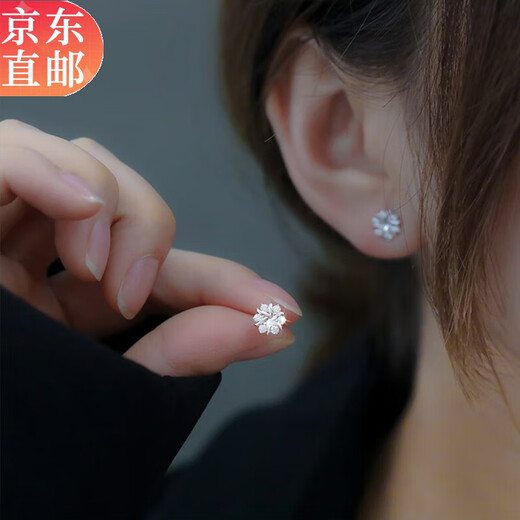 Warme Farben Commuting Intellectual Snowflake Silver Needle Earrings Feminine Student Simple Sleeping No-Pick Earrings Valentine's Day Gift Snowflake Earrings