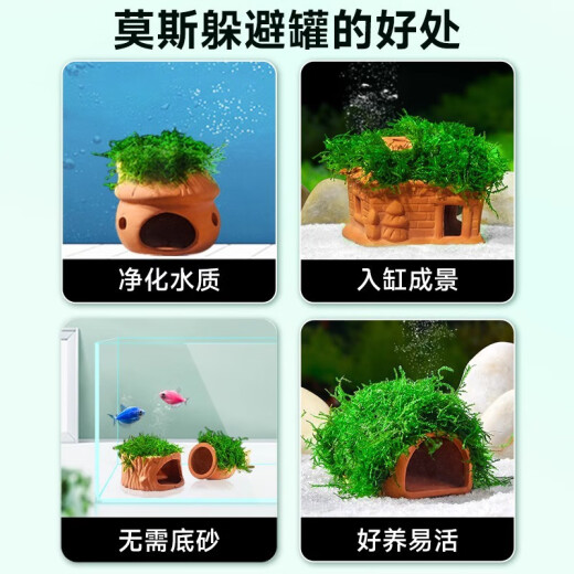 CRAZYPLANT fish tank landscaping shelter house ceramic tank fish tank ornaments package Moss water plant lazy decoration small fish and shrimp shelter tank (red) Moss thread tank