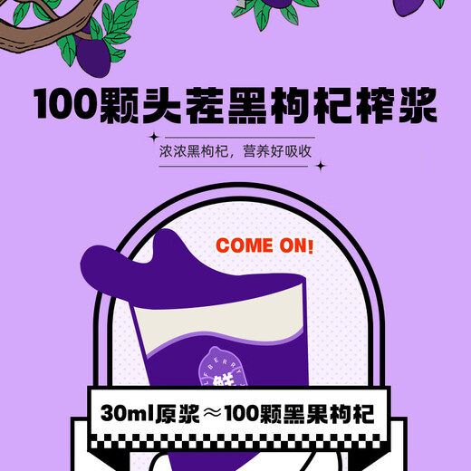Qilixiang Black Wolfberry Pulp 500ml Qinghai Black Wolfberry Juice Anthocyane für Geschenke für Älteste Vatertagsgesundheit Tea Drink