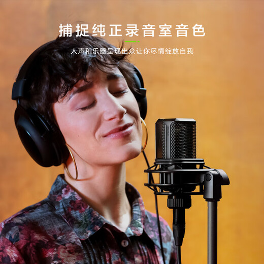 LEWITT LCT440PURE condenser microphone condenser microphone mobile phone computer universal shouting anchor live recording computer karaoke microphone sound card live broadcast equipment set LEWITT LCT440PURE+m2plus computer sound card