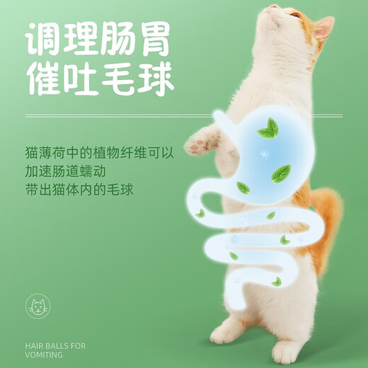 Huayuan Pet Tools (hoopet) Cat 10CM Extra Large Cat Mint Ball Toy Cat Grass Self-Happiness and Boredom Relief Artifact Molar Stick Teeth Cleaning Funny Cat Mutian Polygonum