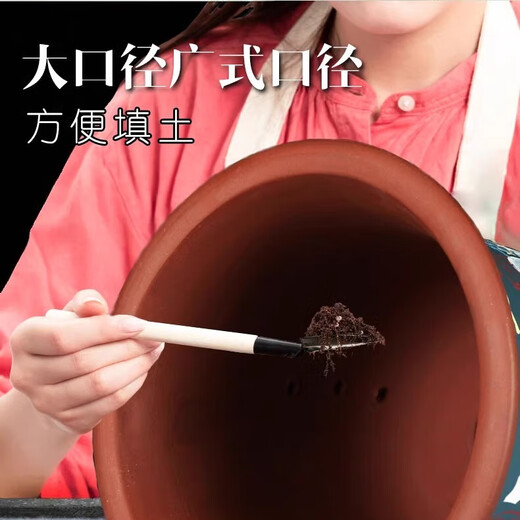 时光旧巷紫砂大花盆兰花盆陶盆大口径种树陶瓷紫沙盆盆景盆陶瓷绿萝花盆 两个695大中【直径30.5+26.5cm】