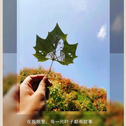 Wutong leaf carving and leaf carving photos high-end customization gifts for couples and friends to give gifts for best friends on Chinese Valentine's birthday. Wutong leaf + plastic seal + 6-inch photo frame with lights. Post a photo after placing an order (customer service)
