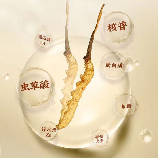 
Authentic Cordyceps gift box genuine dry goods Mid-Autumn Festival gift high-end gifts for elders and parents nutritional products round box 20 pieces