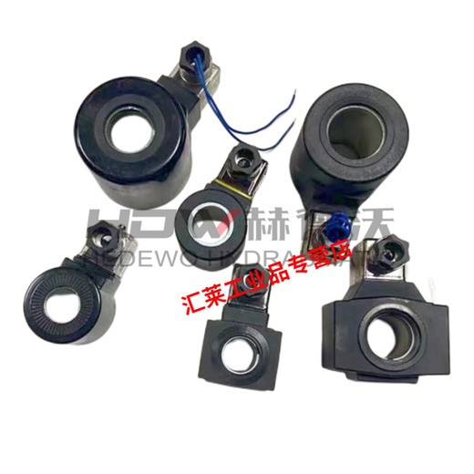 Hydraulic solenoid valve coil DSG inner diameter 13/16/20/23/26/31.5 voltage 220/24V/110v/12v 02 series inner diameter 23 DC24v
