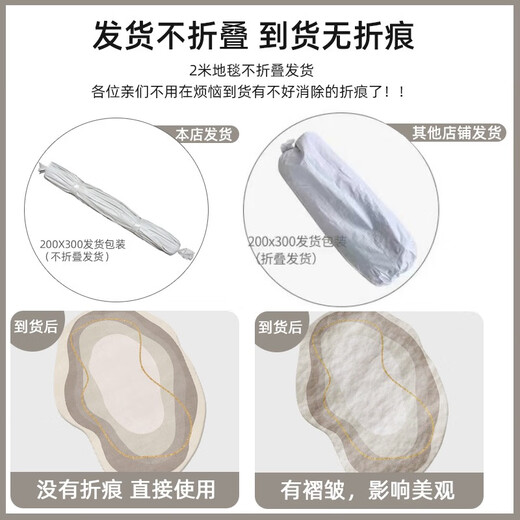 温诗欧地毯客厅异形沙发茶几毯新款网红不规则家用地毯耐脏卧室 现代4877 200cm*300cm[水晶绒]