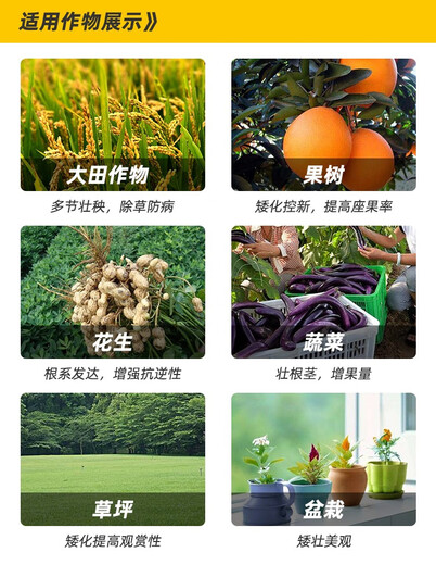 Chlormequat paclobutrazol special multi-effect strawberry farm store corn wheat pbo control agent growth regulator 1kg