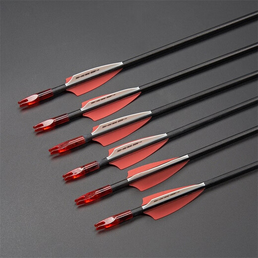 HUWAIREN Bogenschießen Erwachsene Recurve-Bogen Wettkampf Metallrollenbogen Militär-Fan-Ausrüstung Pfeil- und Bogen-Set Fitnessgeräte Black Panther 6 Übungspfeile (Fiberglaspfeile) 30 lbs.