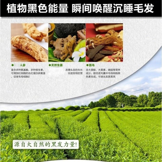 Dye-free eyebrow cream for men, men's white eyebrow dyeing black cream, dye for eyebrow dyeing, eyebrow dyeing liquid, eyebrow cream, natural black (white eyebrows dyed black)