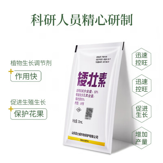 Dwarf dwarf narcissus flower dwarf dwarfing agent dwarf dwarf dwarfing agent dwarf dwarf dwarf dwarf dwarf dwarf dwarf dwarf dwarf dwarf dwarf dwarf dwarf dwarf dwarf dwarf dwarf dwarf dwarf dwarf dwarf dwarf dwarf dwarf dwarf dwarf dwarf dwarf dwarf dwarf dwarf dwarf dwarf dwarf dwarf dwarf dwarf dwarf dwarf agent 30ml