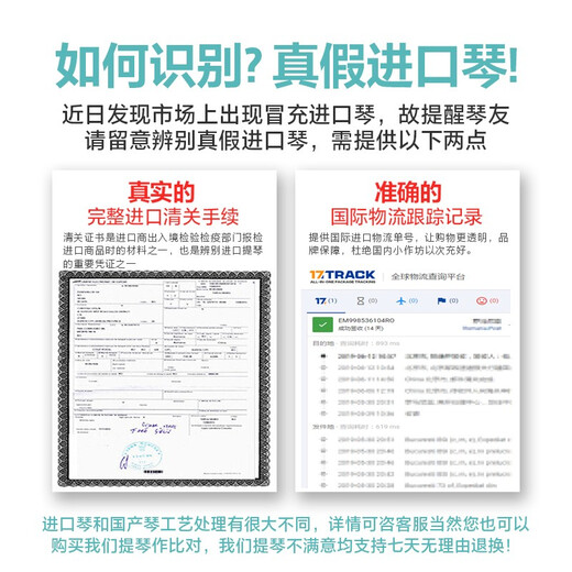 克莉丝蒂娜（Christina）欧洲原装进口小提琴EU3000A演奏手工琴成人学生儿童考级进阶初学 4/4适合身高155cm以上