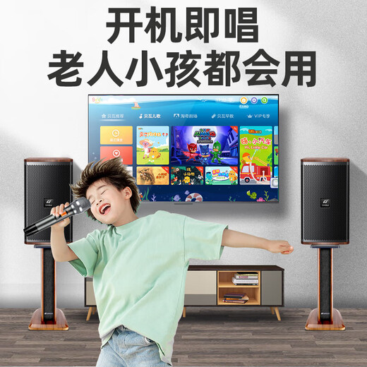 山水点歌机 家庭影院ktv智能音响 组合功放套装 家用卡拉OK双系统一体机10英寸低音 DM3