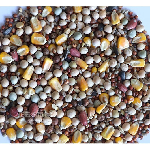 Pigeon food without corn pigeon food wholesale pigeon food racing pigeon nutritional food pigeon food young pigeon meat pigeon old pigeon pigeon food pigeon food with corn 5Jin Jin is equal to 0.5 kg