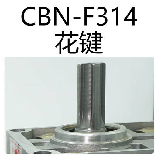 Hydraulic oil pump high pressure gear pump CBNF304 306 308 310 312 314 316 320 325 CBNF314 right spline