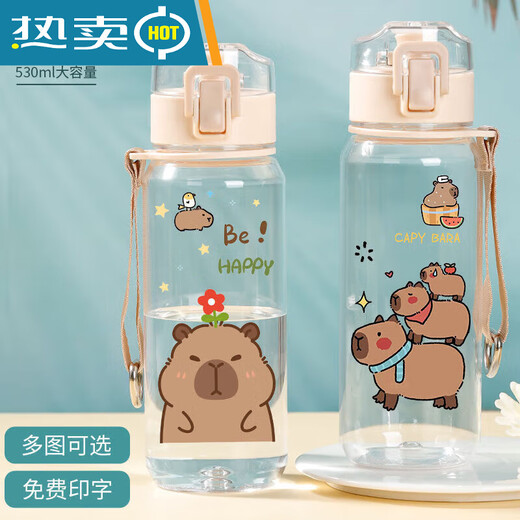 Wasserkocher kleiner Capybara-Wasserbecher Karte Furzbecher Student tragbarer Sommer große Kapazität 530 ml R3271 Capybara-Kunststoff-Trinkbecher-