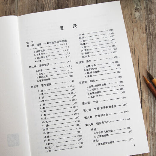 怎样写篆书甲骨文金文技法集唐诗章法入门毛笔书法练字帖临摹字典 精装篆书字典795页