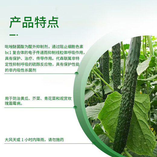 Syngenta Wingselect 60% Pyraclostrobin Daisenlian Cucumber and Broccoli Downy Mildew Pesticide and Fungicide 1KG*1 Bag