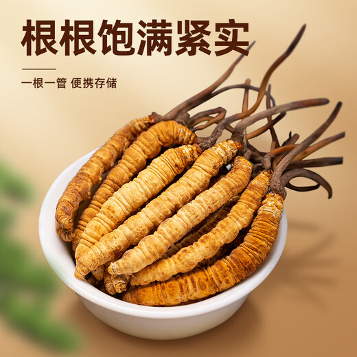Juhe Taitou Cordyceps Regalos Regalos de regalos de regalos Año Nuevo para vacaciones Ancianos y ancianos Tonic Suplementos nutricionales [4 palos/g 40 palos-10 gramos] Recomendación de regalos