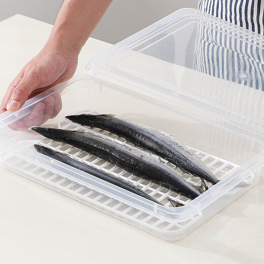 Home Story Dumpling Box Food Grade Freezer Box Refrigerator Storage Fresh Box Household Food Storage Box Refrigeration and Drainage with Partition Pack of Three 1 Layer