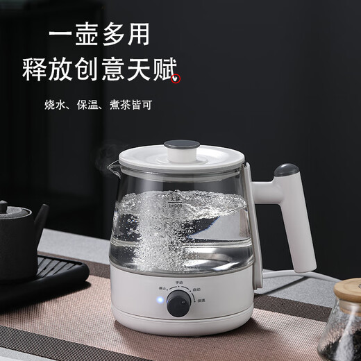 Biooner tea kettle, spray type tea kettle, steam type black tea kettle, office home kettle, mini health pot flower tea kettle, white (upgraded with insulation) 0.8L