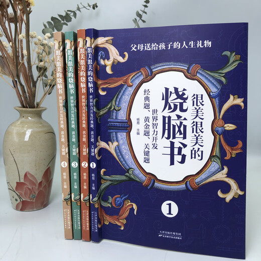 【全新正版】很美很美的烧脑书全4册 世界智力开发经典题7-12岁小学生思维逻辑儿童数学逻辑思维训练开发书14225**9天津科学技术出版社
