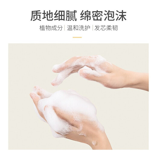 浅香（ASAKA）洗发水氨基酸洗发乳套装清爽控油蓬松留香套装洗发水 香榧氨基酸顺滑乳688g（紫色版） 现货速发