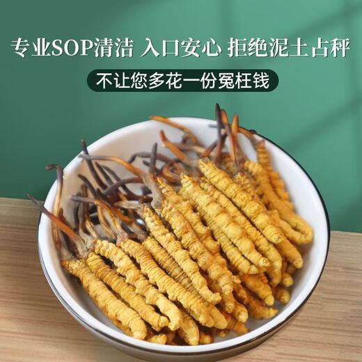 健颐年冬虫夏草正品干货4根/克虫草礼盒装送礼断草 4根1克20克送5根【实发85根】
