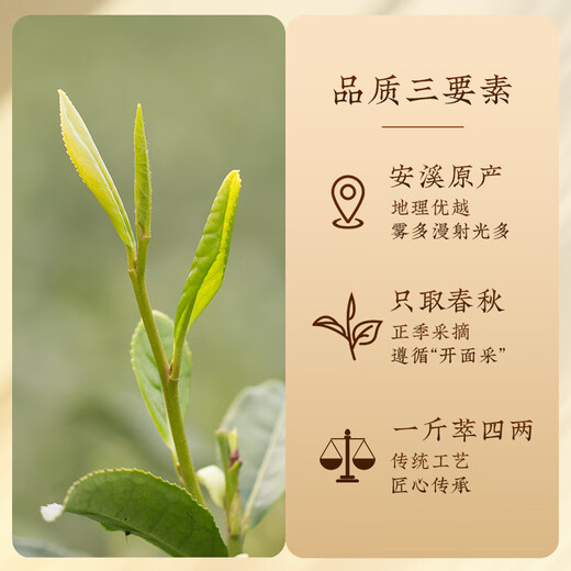 去寻乌龙茶安溪铁观音特级茶叶礼盒装320g非遗传承技艺父亲节送礼品物