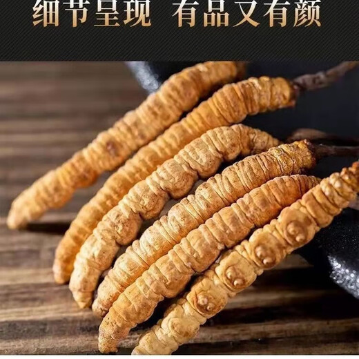 
Authentic Cordyceps gift box genuine dry goods Mid-Autumn Festival gift high-end gifts for elders and parents nutritional products round box 20 pieces