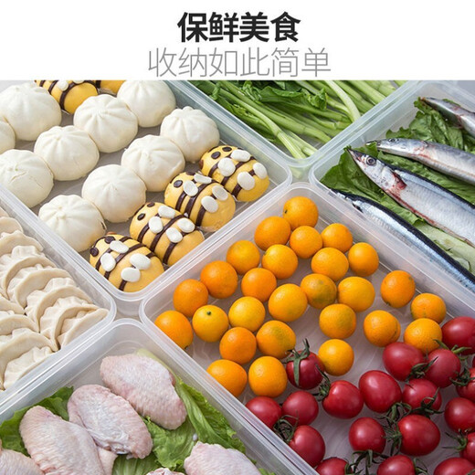 Dumpling storage box, refrigerator crisper, freezer tray for frozen dumplings, multi-layer quick-frozen fresh-keeping box, dumpling box, household dumpling freezing box, wonton box, quick-frozen food storage box, dumpling box, transparent model, 1 layer, 1 lid, can hold 60 dumplings