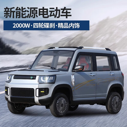 Jinliangpeng four-wheel electric vehicle household mobility scooter new energy adult ladies low-speed small mobility vehicle petrol-electric vehicle a pair of exclusive license plates for customers who have purchased a car