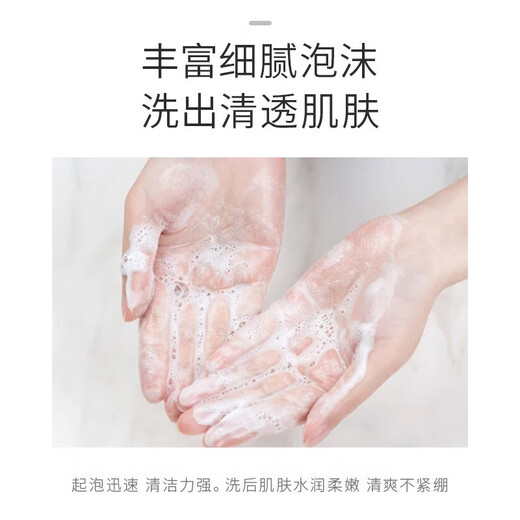 Pianzihuang Zhenyan Reinigung Balsam 100 g Tiefe Reinigung Feuchtigkeitsspenger amino -säure Gesichtsreiniger sanfter Gesichtsreiniger für Männer und Frauen eine Flasche [100 ml]