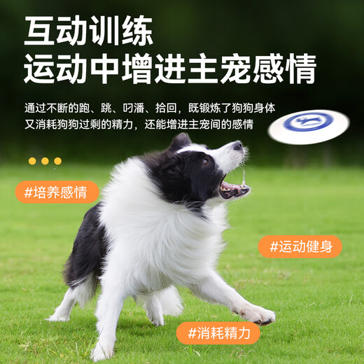 EETOYS White Frisbee Dog Toy Bite-Resistant Dog Flying Saucer Golden Retriever Border Collie Interactive Dog Training Pet Supplies